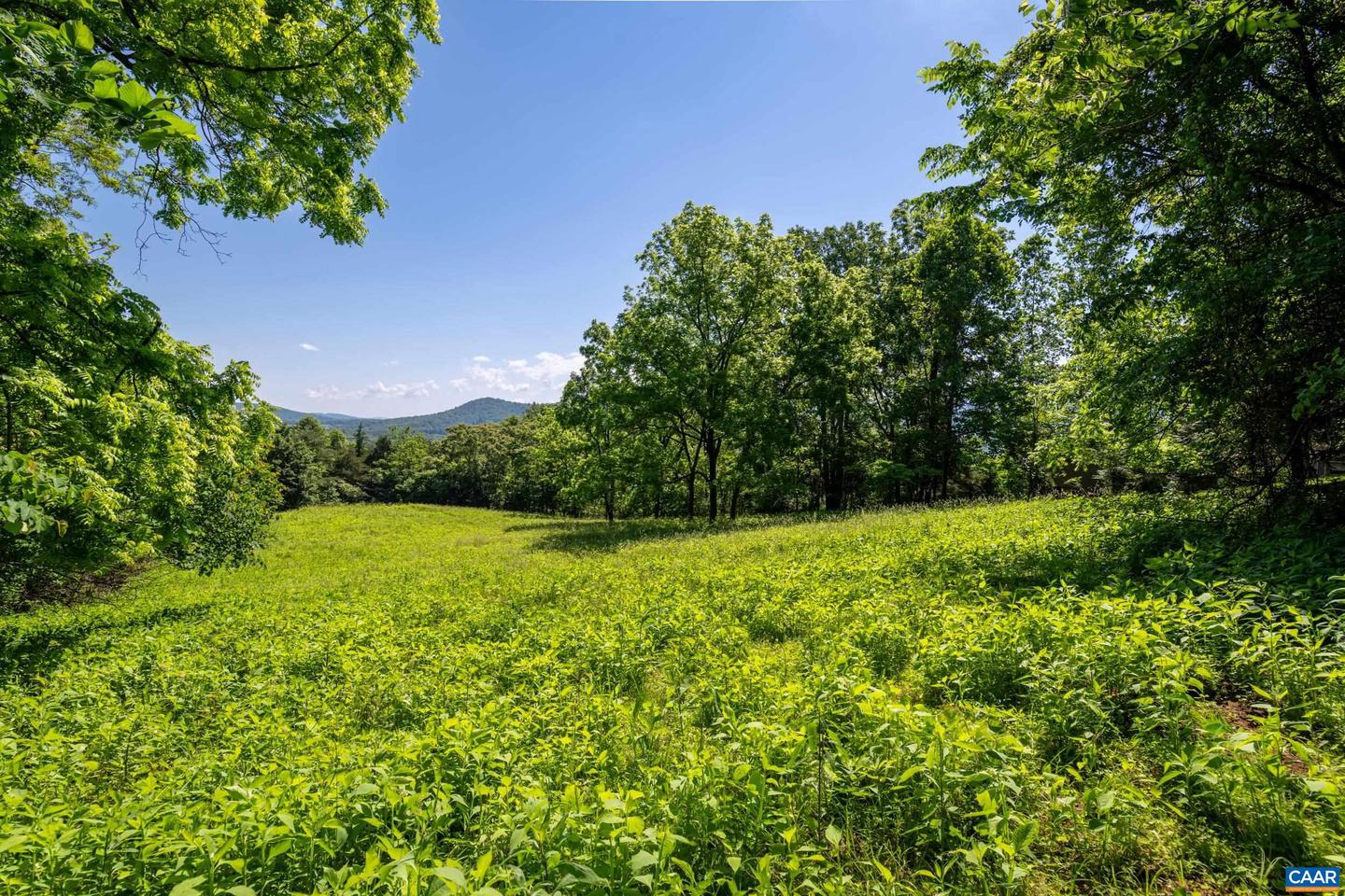 TBD ROCKFISH ORCHARD DR, AFTON, Virginia 22920, ,Land,For sale,TBD ROCKFISH ORCHARD DR,653389 MLS # 653389