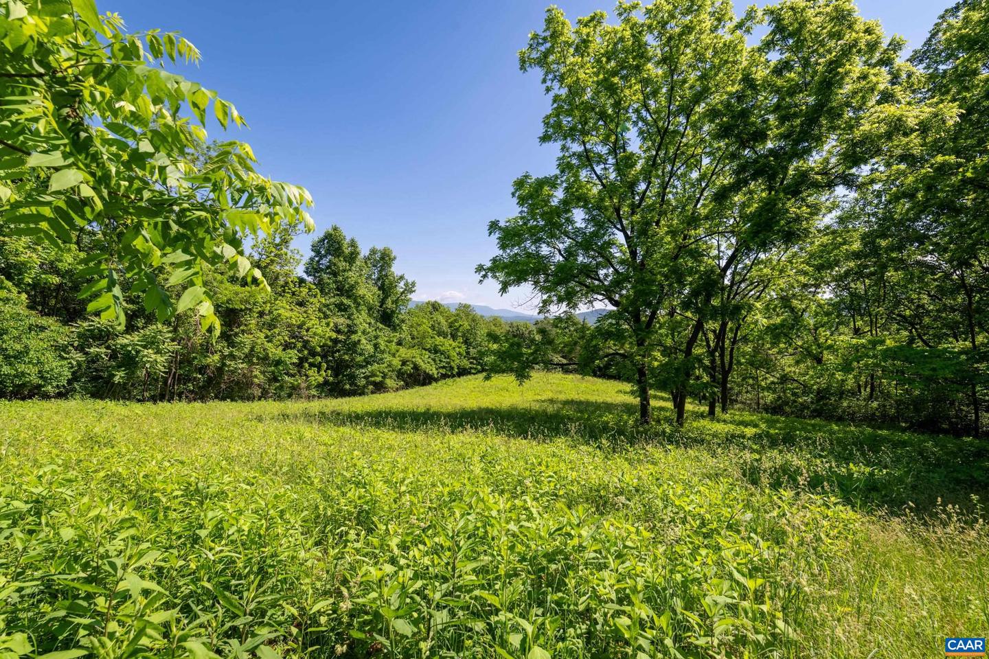 TBD ROCKFISH ORCHARD DR, AFTON, Virginia 22920, ,Land,For sale,TBD ROCKFISH ORCHARD DR,653389 MLS # 653389