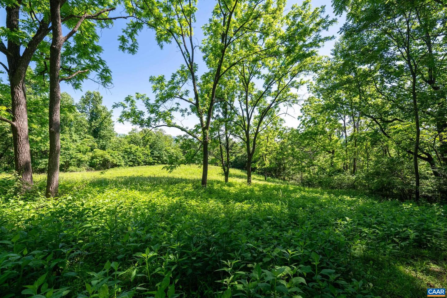 TBD ROCKFISH ORCHARD DR, AFTON, Virginia 22920, ,Land,For sale,TBD ROCKFISH ORCHARD DR,653389 MLS # 653389