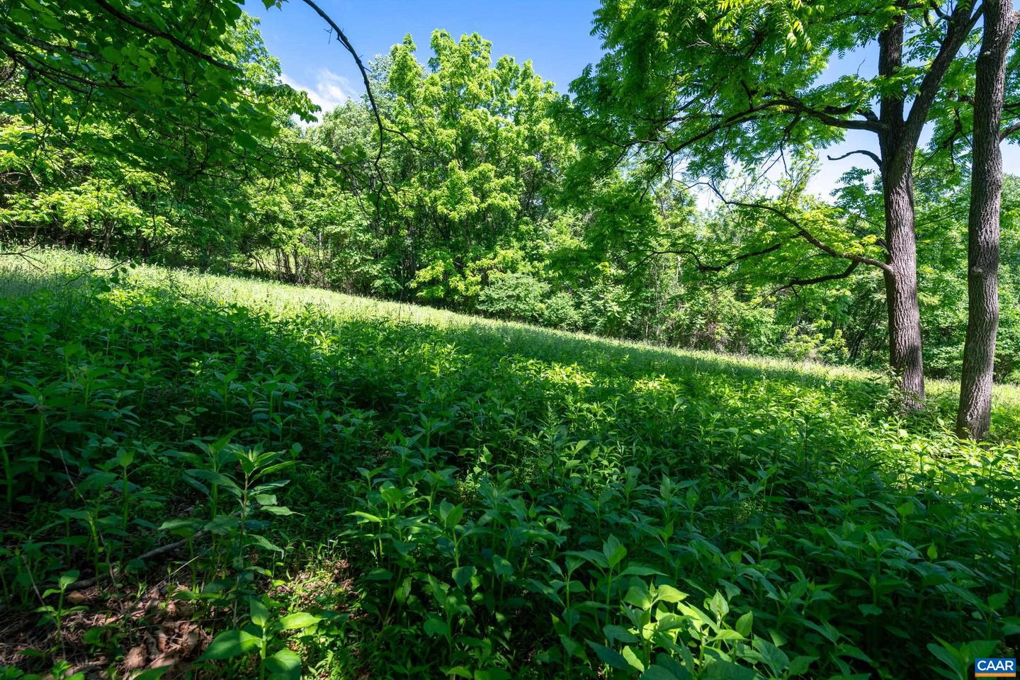 TBD ROCKFISH ORCHARD DR, AFTON, Virginia 22920, ,Land,For sale,TBD ROCKFISH ORCHARD DR,653389 MLS # 653389