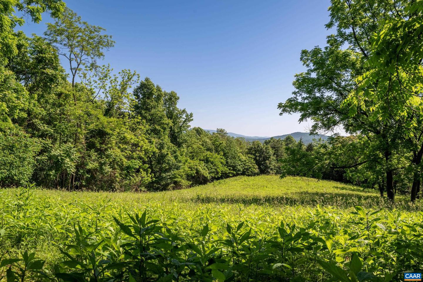 TBD ROCKFISH ORCHARD DR, AFTON, Virginia 22920, ,Land,For sale,TBD ROCKFISH ORCHARD DR,653389 MLS # 653389