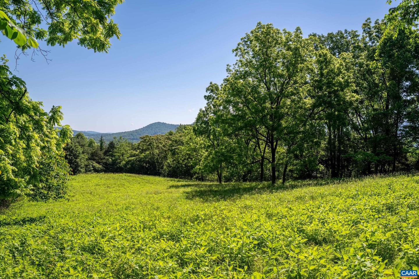 TBD ROCKFISH ORCHARD DR, AFTON, Virginia 22920, ,Land,For sale,TBD ROCKFISH ORCHARD DR,653389 MLS # 653389