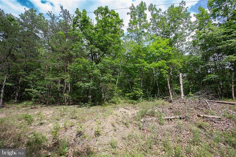 TBD DOGWOOD DR, NEW MARKET, Virginia 22844, ,Land,For sale,TBD DOGWOOD DR,VASH2008796 MLS # VASH2008796