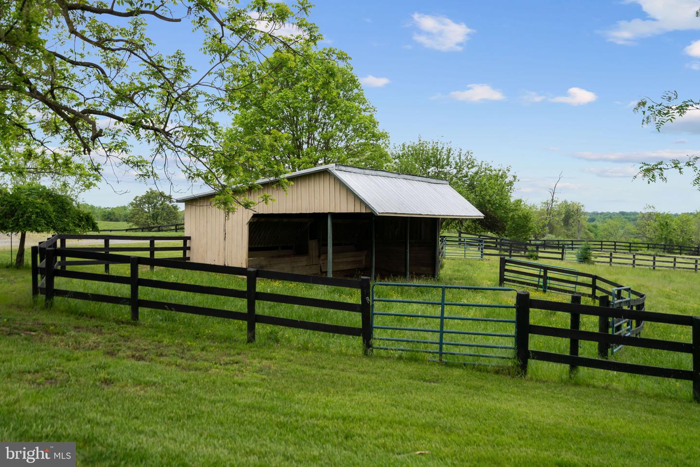 1600 BRIGGS RD, BERRYVILLE, Virginia 22611, 5 Bedrooms Bedrooms, 13 Rooms Rooms,3 BathroomsBathrooms,Residential,For sale,1600 BRIGGS RD,VACL2002790 MLS # VACL2002790