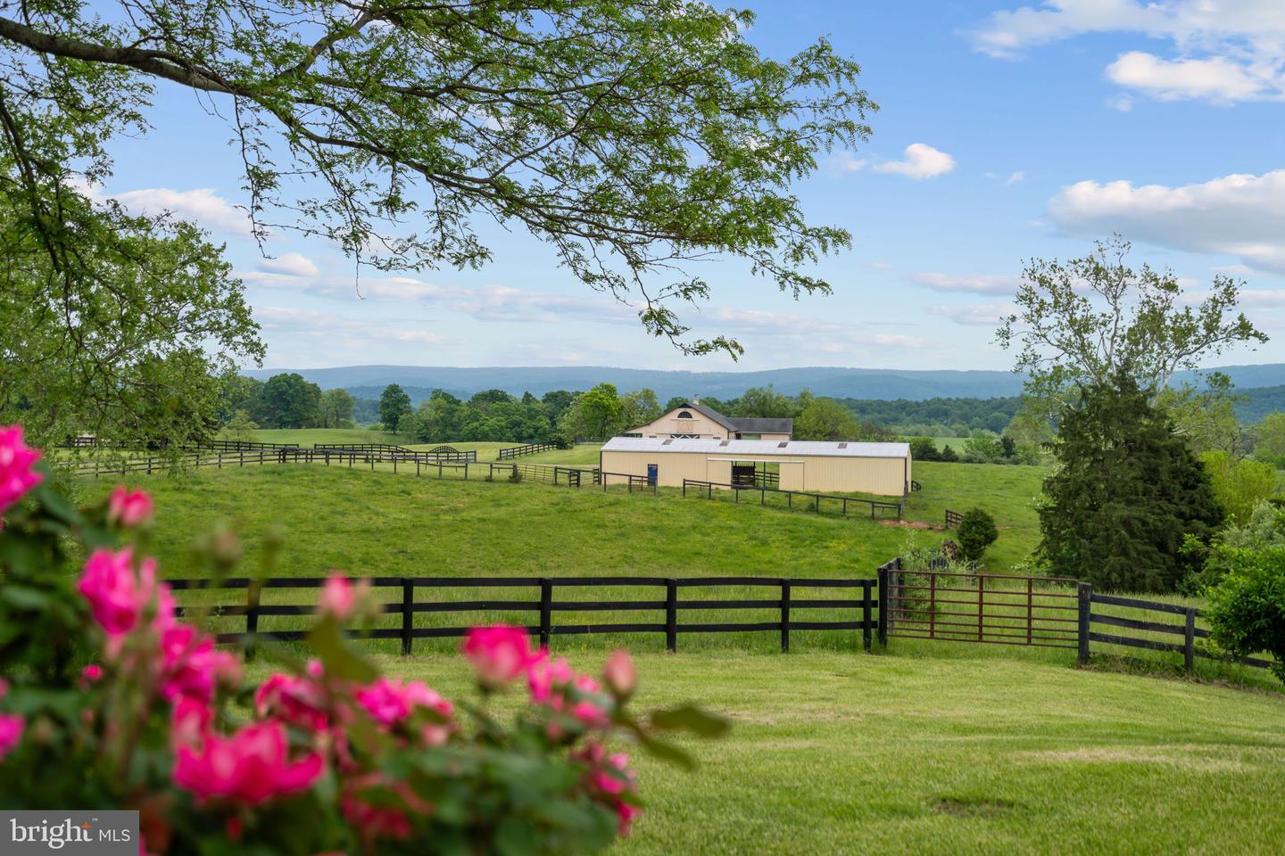 1600 BRIGGS RD, BERRYVILLE, Virginia 22611, 5 Bedrooms Bedrooms, 13 Rooms Rooms,3 BathroomsBathrooms,Residential,For sale,1600 BRIGGS RD,VACL2002790 MLS # VACL2002790