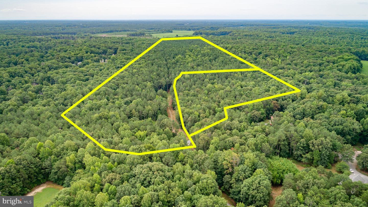 LADYSMITH RD, RUTHER GLEN, Virginia 22546, ,Farm,For sale,LADYSMITH RD,VACV2006034 MLS # VACV2006034