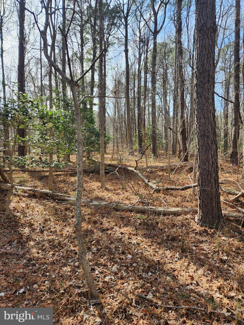 LOT 104 AMERICAN DR, MONTROSS, Virginia 22520, ,Land,For sale,LOT 104 AMERICAN DR,VAWE2006792 MLS # VAWE2006792