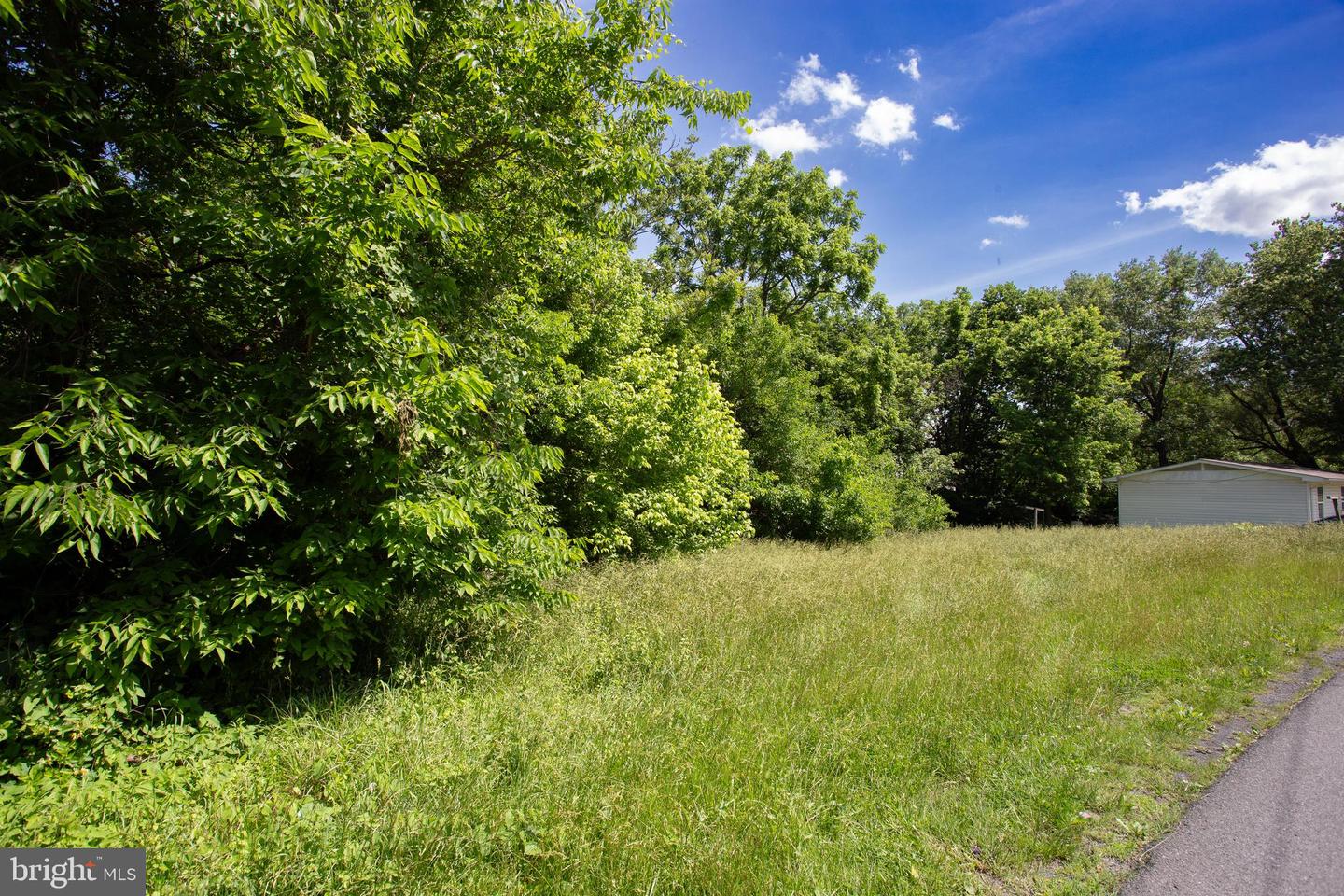 CARDINAL ST, STRASBURG, Virginia 22657, ,Land,For sale,CARDINAL ST,VASH2008832 MLS # VASH2008832