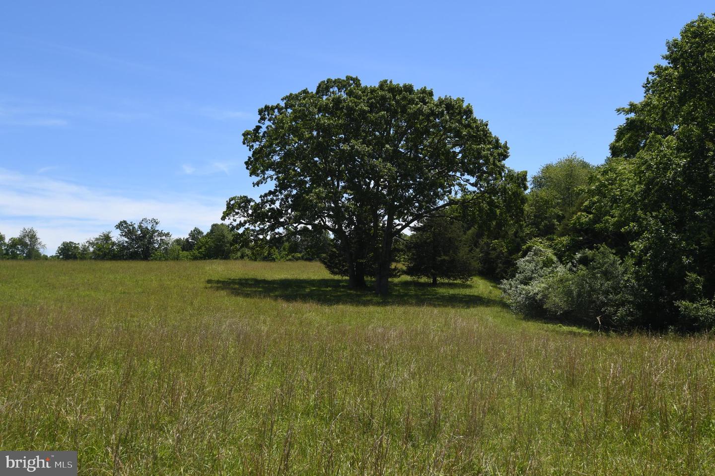 SLATE MILLS ROAD, SPERRYVILLE, Virginia 22740, ,Farm,For sale,SLATE MILLS ROAD,VARP2001592 MLS # VARP2001592