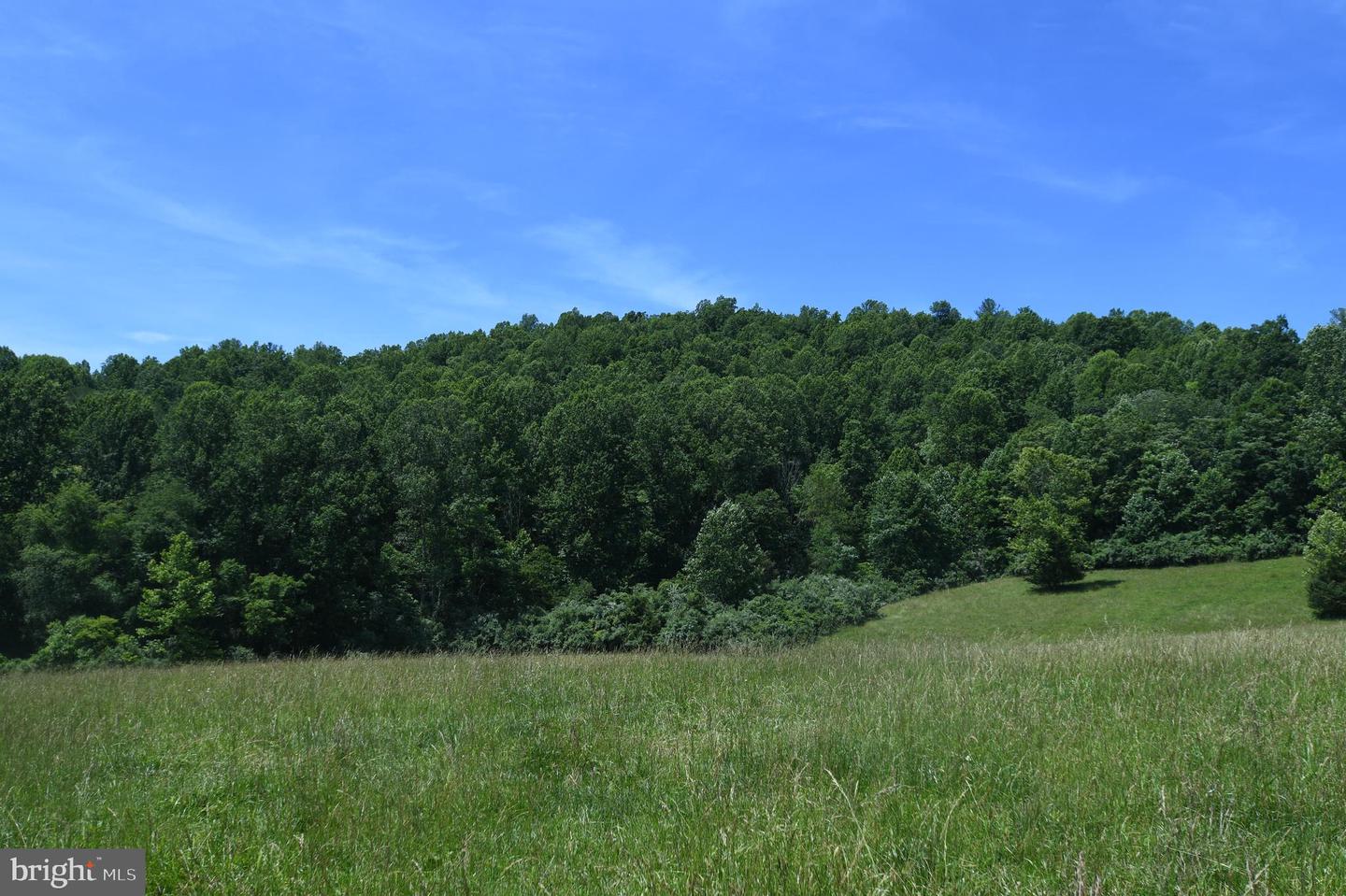 SLATE MILLS ROAD, SPERRYVILLE, Virginia 22740, ,Farm,For sale,SLATE MILLS ROAD,VARP2001592 MLS # VARP2001592