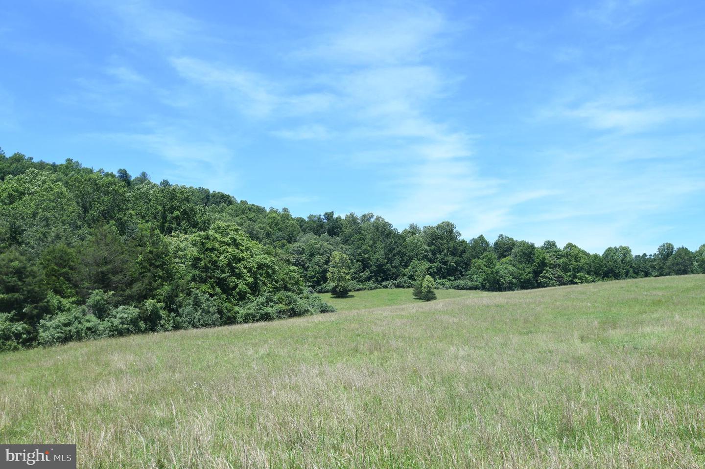 SLATE MILLS ROAD, SPERRYVILLE, Virginia 22740, ,Farm,For sale,SLATE MILLS ROAD,VARP2001592 MLS # VARP2001592