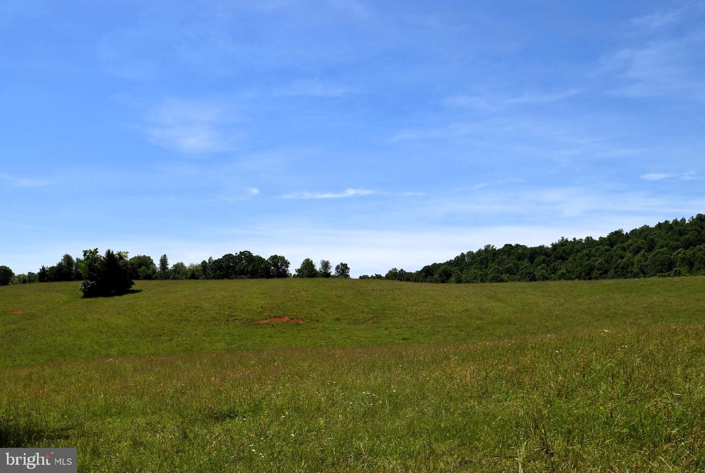 SLATE MILLS ROAD, SPERRYVILLE, Virginia 22740, ,Farm,For sale,SLATE MILLS ROAD,VARP2001592 MLS # VARP2001592