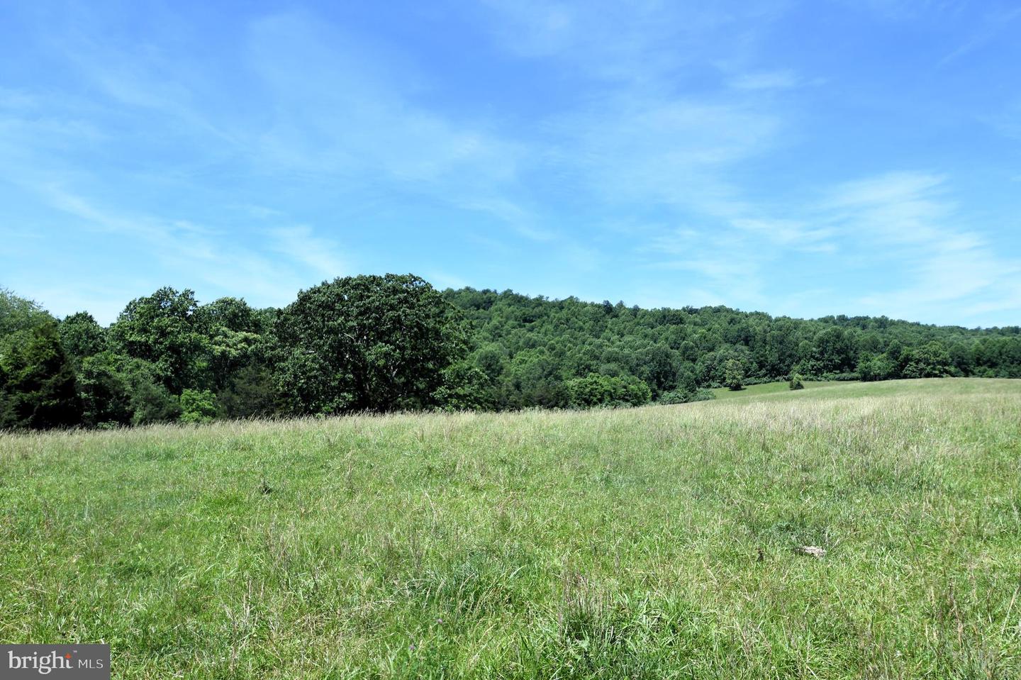 SLATE MILLS ROAD, SPERRYVILLE, Virginia 22740, ,Farm,For sale,SLATE MILLS ROAD,VARP2001592 MLS # VARP2001592