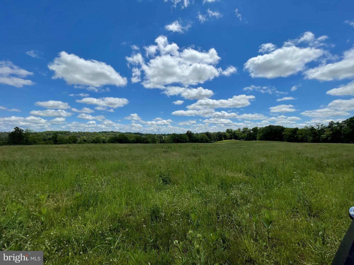 0 LAWSON LANE, CULPEPER, Virginia 22701, ,Farm,For sale,0 LAWSON LANE,VACU2007932 MLS # VACU2007932