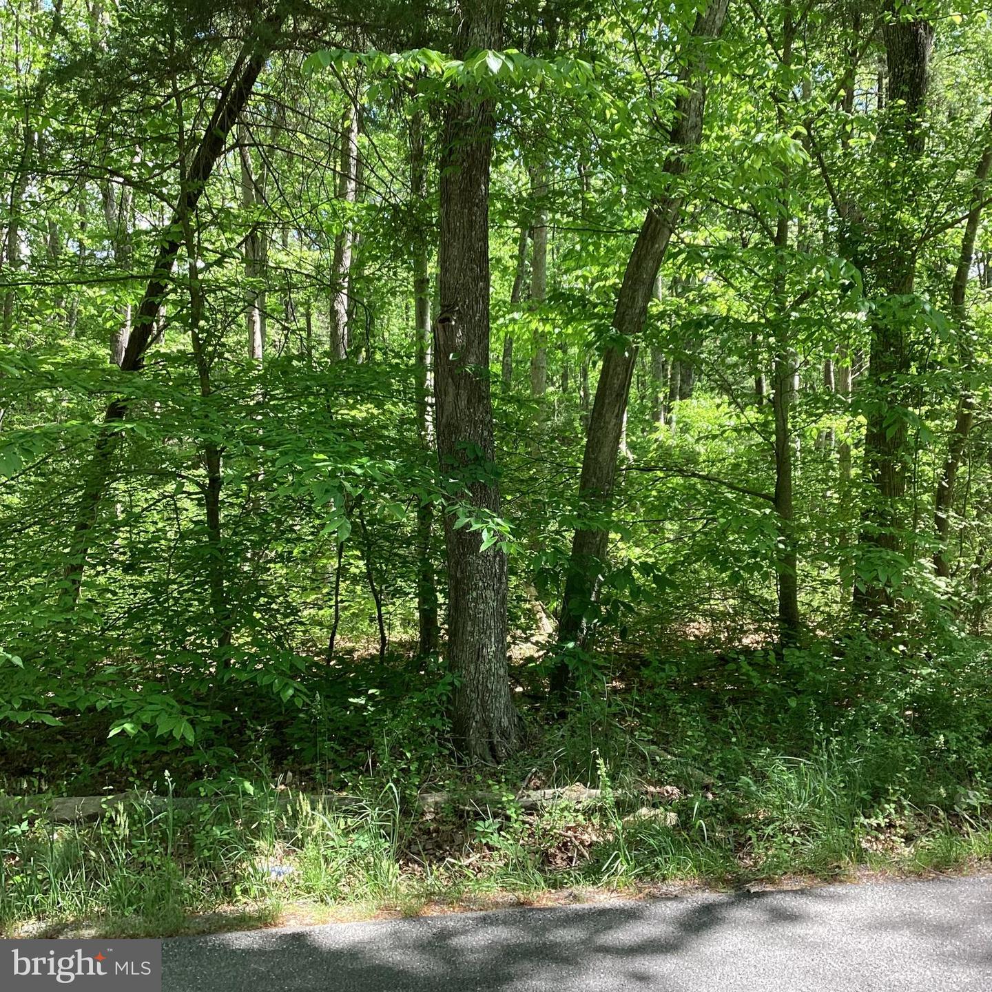 2127 MOUNT OLIVE RD, BEAVERDAM, Virginia 23015, ,Land,For sale,2127 MOUNT OLIVE RD,VASP2024786 MLS # VASP2024786