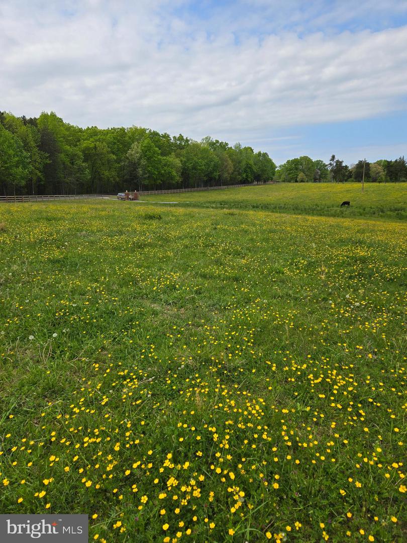 00 PERKINSVILLE RD #LOT 7, MAIDENS, Virginia 23102, ,Land,For sale,00 PERKINSVILLE RD #LOT 7,VAGO2000238 MLS # VAGO2000238