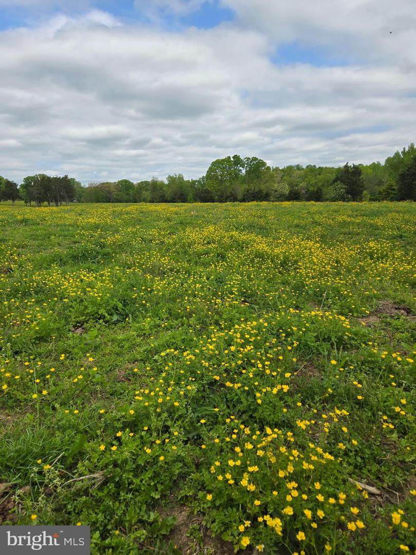 00 PERKINSVILLE RD #LOT 7, MAIDENS, Virginia 23102, ,Land,For sale,00 PERKINSVILLE RD #LOT 7,VAGO2000238 MLS # VAGO2000238