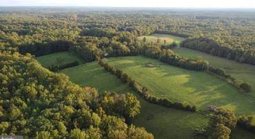 00 PERKINSVILLE RD #LOT 7, MAIDENS, Virginia 23102, ,Land,For sale,00 PERKINSVILLE RD #LOT 7,VAGO2000238 MLS # VAGO2000238