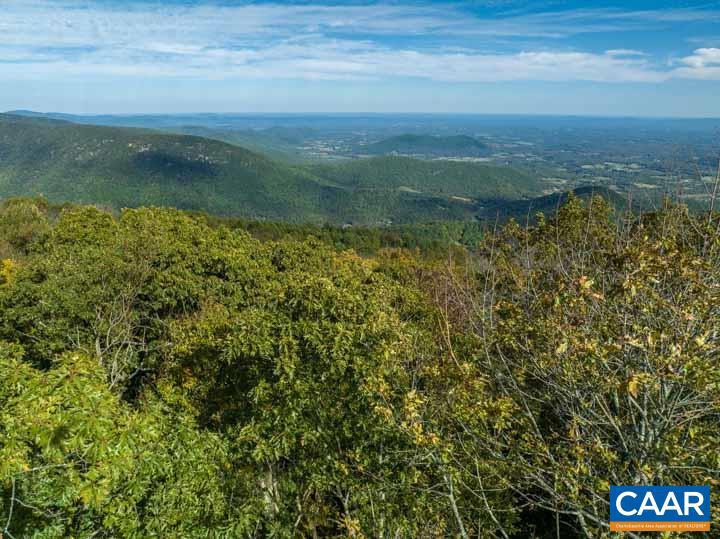 38 FLATTOP MOUNTAIN RD #LOT 38 FLATTOP, FREE UNION, Virginia 22940, ,Land,For sale,38 FLATTOP MOUNTAIN RD #LOT 38 FLATTOP,653733 MLS # 653733