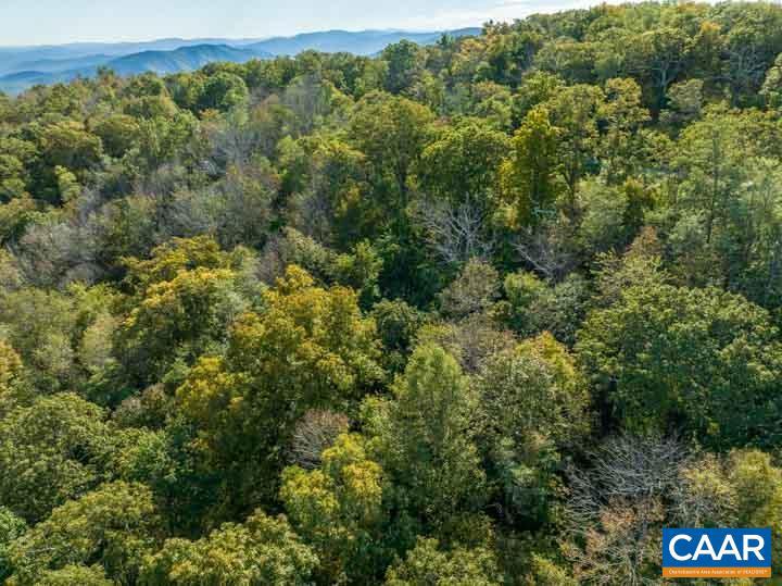 38 FLATTOP MOUNTAIN RD #LOT 38 FLATTOP, FREE UNION, Virginia 22940, ,Land,For sale,38 FLATTOP MOUNTAIN RD #LOT 38 FLATTOP,653733 MLS # 653733