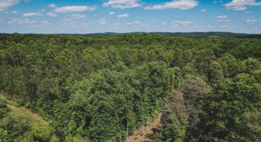 8 ACRES GREEN CREEK RD, SCHUYLER, Virginia 22969, ,Land,For sale,8 ACRES GREEN CREEK RD,653764 MLS # 653764