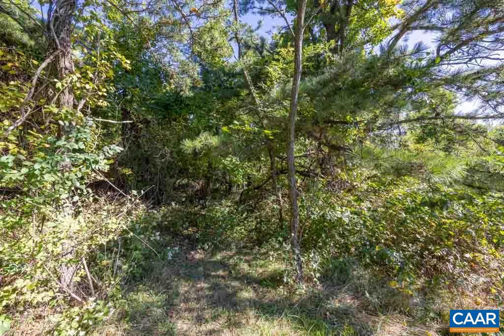 2106 FLATTOP MOUNTAIN RD, FREE UNION, Virginia 22940, 3 Bedrooms Bedrooms, ,1 BathroomBathrooms,Residential,For sale,2106 FLATTOP MOUNTAIN RD,653732 MLS # 653732