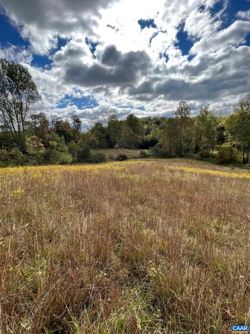 TBD BROWNS GAP TPKE, CROZET, Virginia 22920, 3 Bedrooms Bedrooms, ,2 BathroomsBathrooms,Residential,For sale,TBD BROWNS GAP TPKE,653809 MLS # 653809