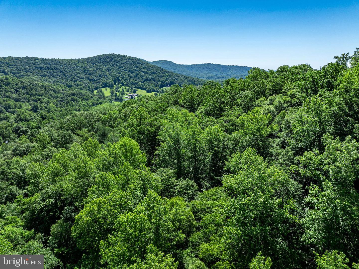 GARTH RUN RD, MADISON, Virginia 22727, ,Land,For sale,GARTH RUN RD,VAMA2001754 MLS # VAMA2001754