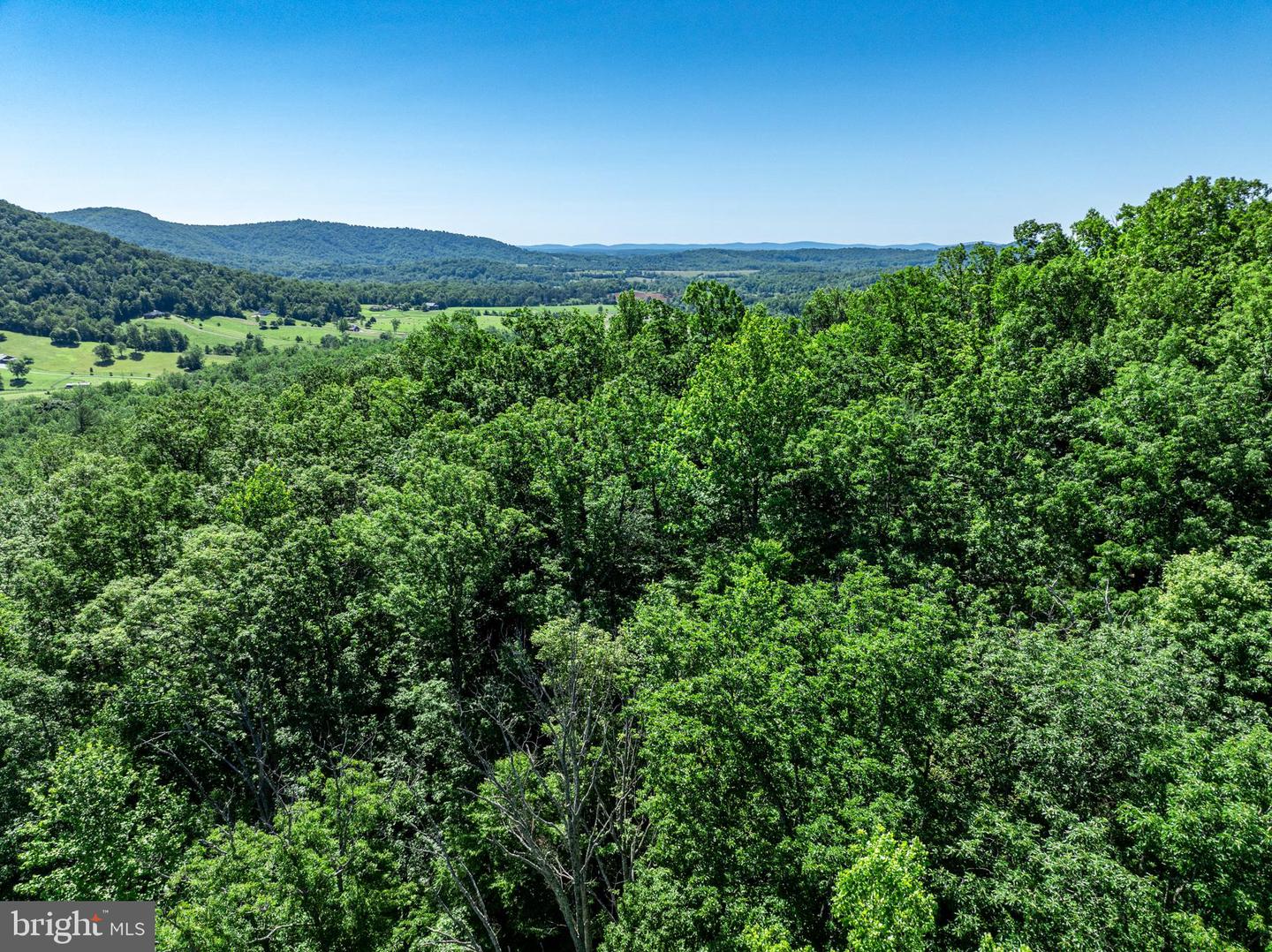 GARTH RUN RD, MADISON, Virginia 22727, ,Land,For sale,GARTH RUN RD,VAMA2001754 MLS # VAMA2001754