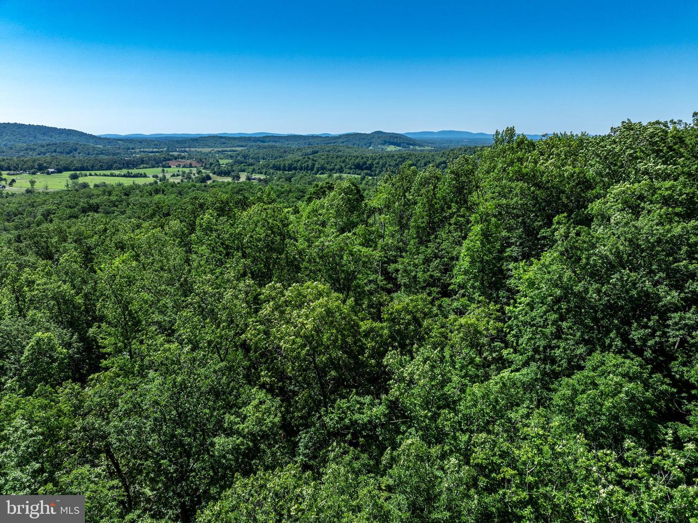 GARTH RUN RD, MADISON, Virginia 22727, ,Land,For sale,GARTH RUN RD,VAMA2001754 MLS # VAMA2001754