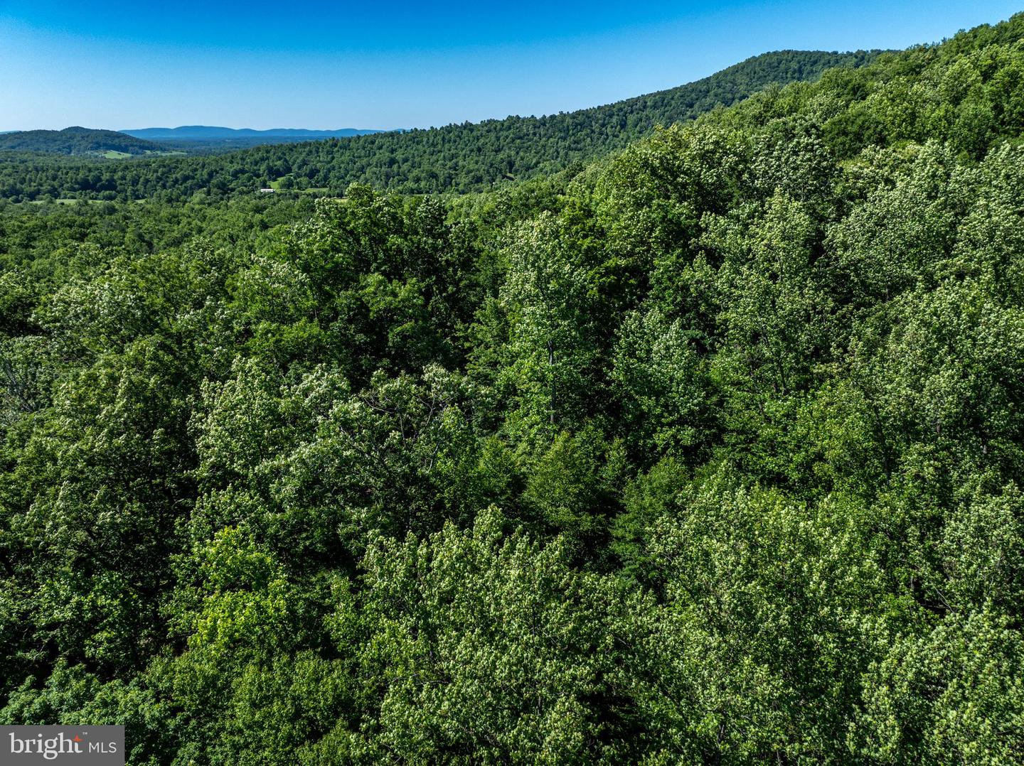 GARTH RUN RD, MADISON, Virginia 22727, ,Land,For sale,GARTH RUN RD,VAMA2001754 MLS # VAMA2001754