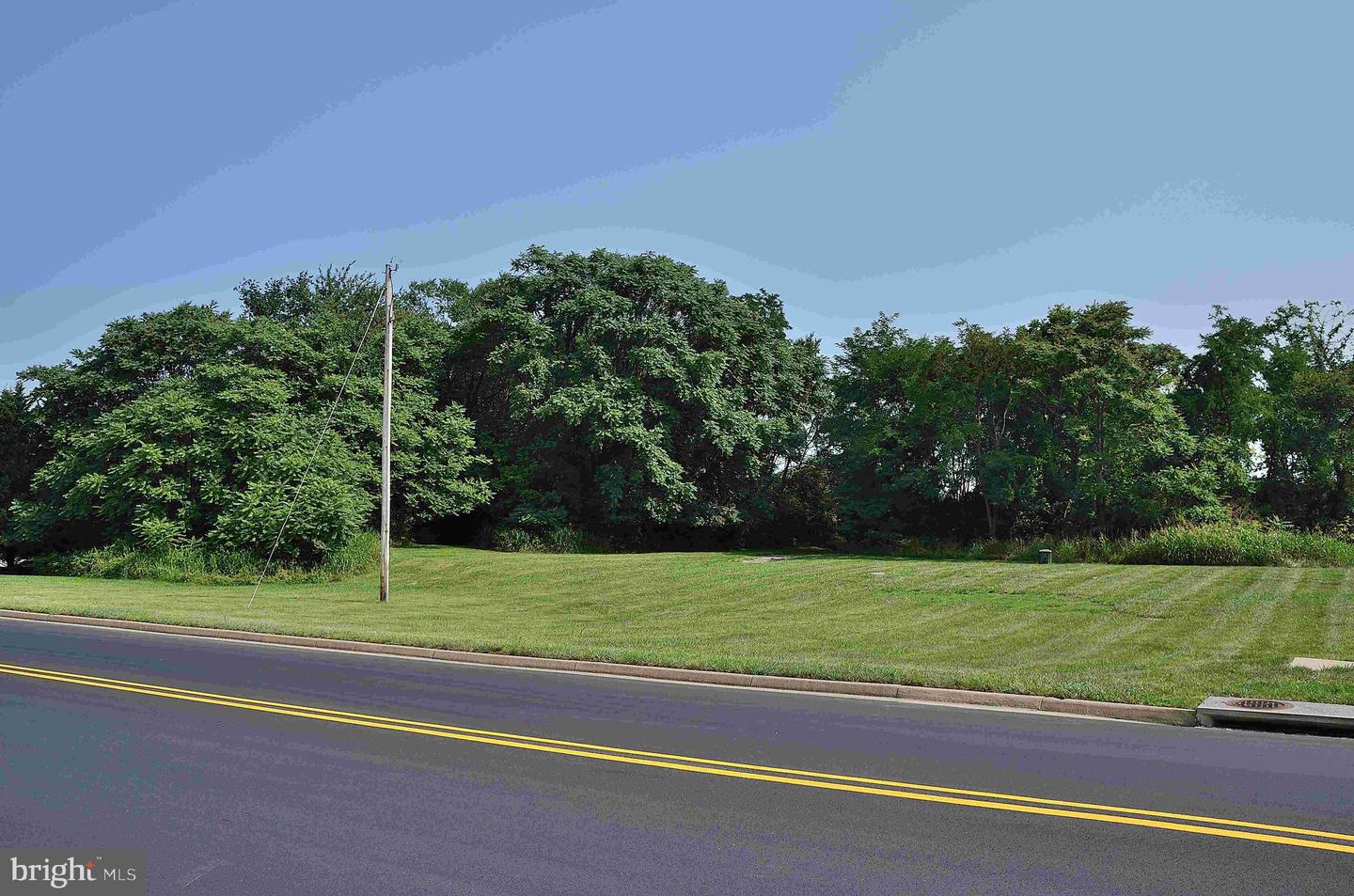 LOT 1B MOSBY BLVD, BERRYVILLE, Virginia 22611, ,Land,For sale,LOT 1B MOSBY BLVD,VACL2002358 MLS # VACL2002358