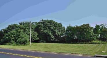LOT 1B MOSBY BLVD, BERRYVILLE, Virginia 22611, ,Land,For sale,LOT 1B MOSBY BLVD,VACL2002358 MLS # VACL2002358