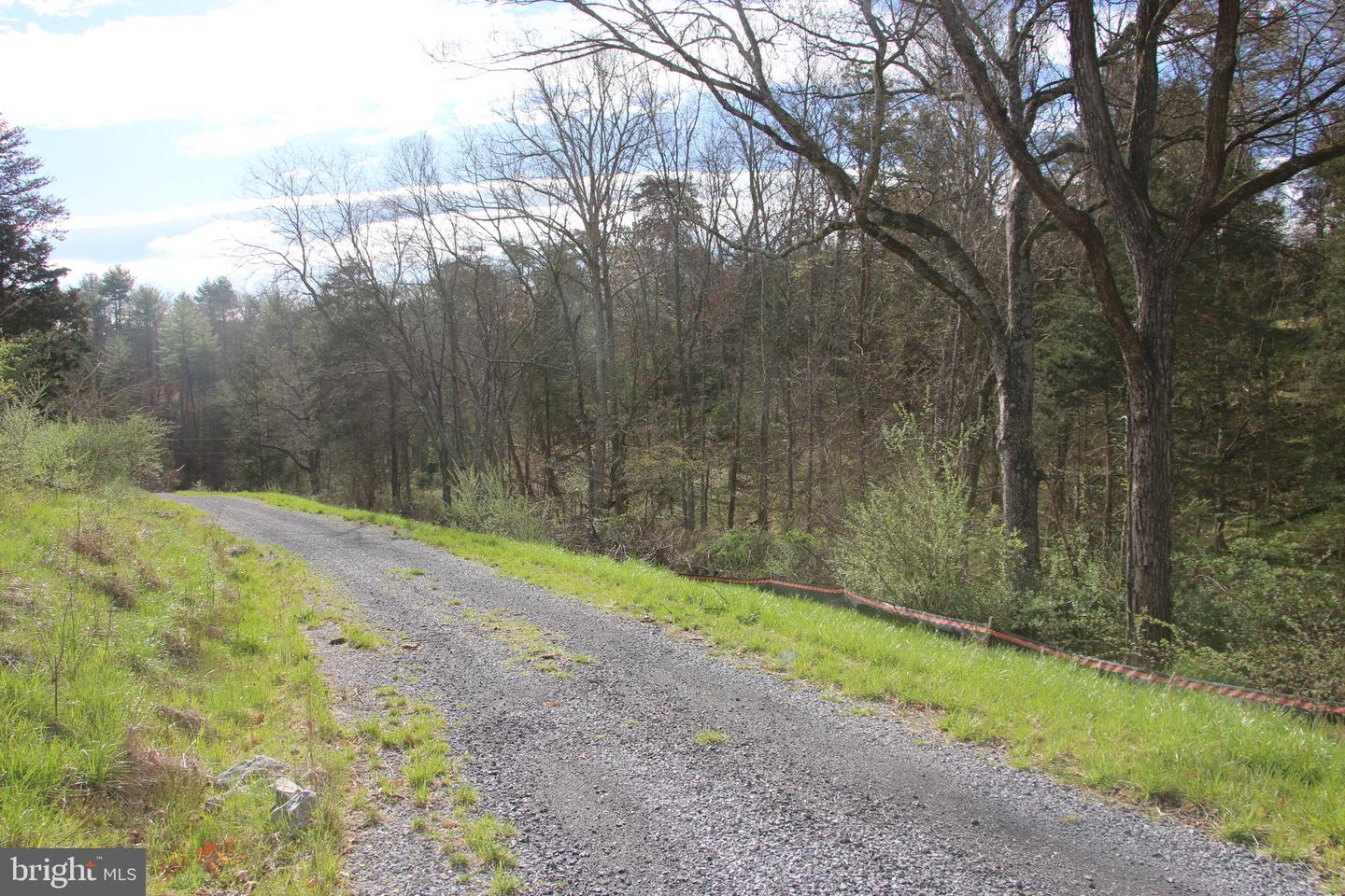 CAUTHORN MILL RD, MIDDLETOWN, Virginia 22645, ,Land,For sale,CAUTHORN MILL RD,VAWR2007776 MLS # VAWR2007776