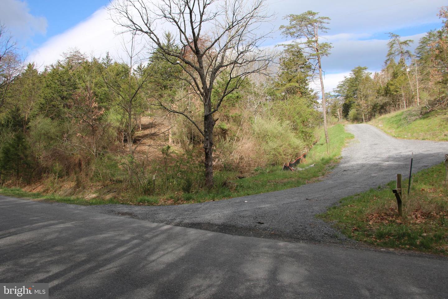 CAUTHORN MILL RD, MIDDLETOWN, Virginia 22645, ,Land,For sale,CAUTHORN MILL RD,VAWR2007776 MLS # VAWR2007776