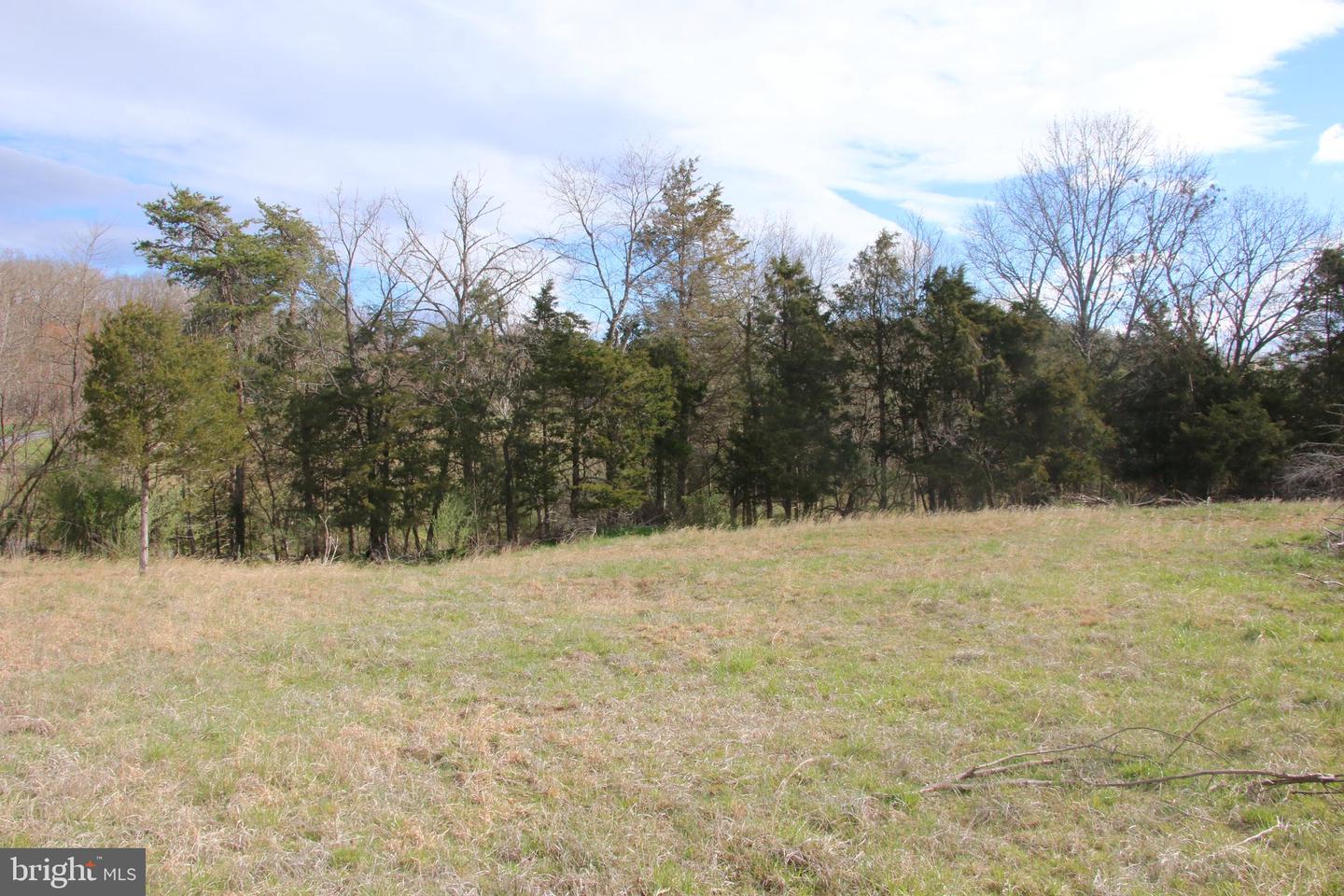 CAUTHORN MILL RD, MIDDLETOWN, Virginia 22645, ,Land,For sale,CAUTHORN MILL RD,VAWR2007776 MLS # VAWR2007776