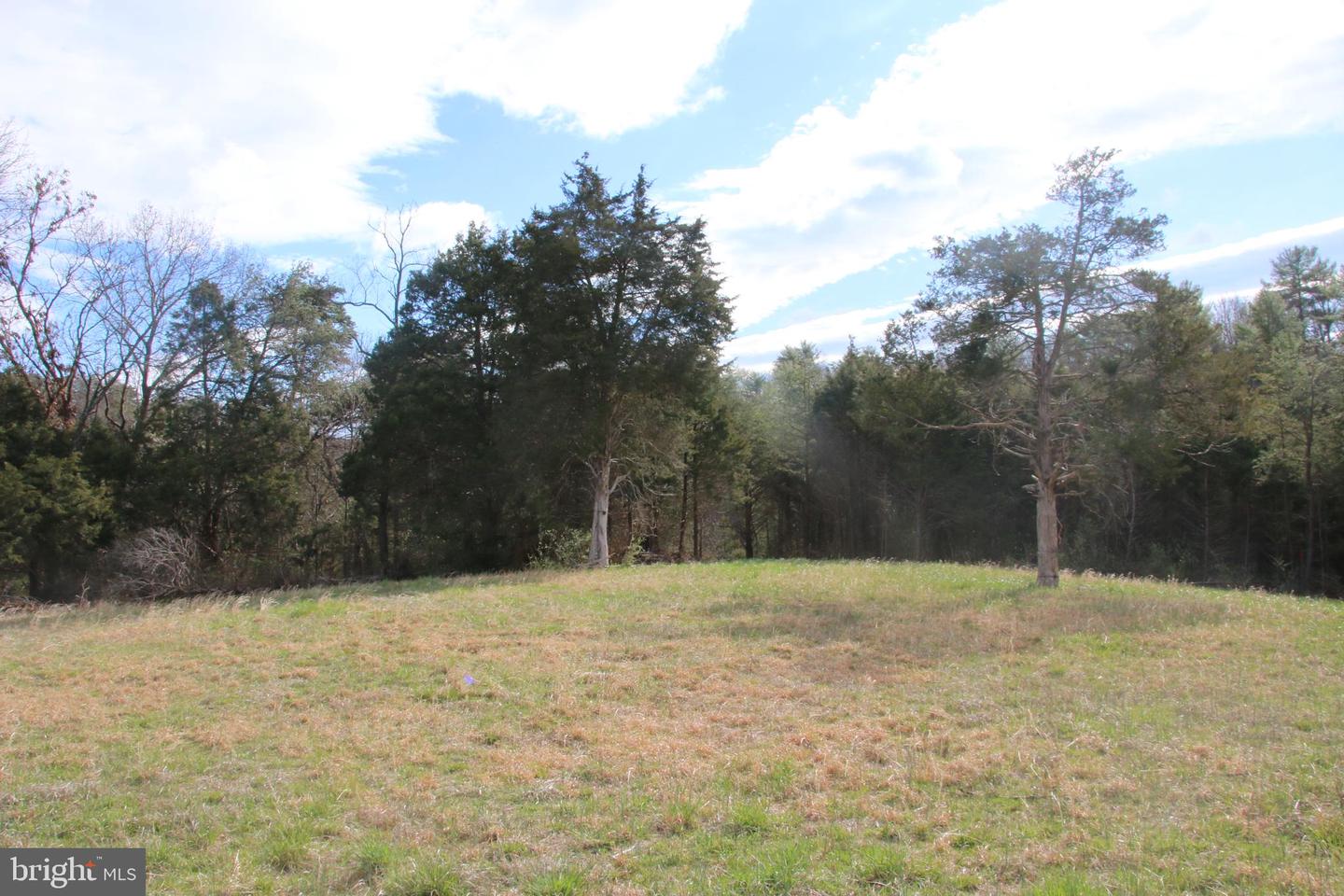 CAUTHORN MILL RD, MIDDLETOWN, Virginia 22645, ,Land,For sale,CAUTHORN MILL RD,VAWR2007776 MLS # VAWR2007776