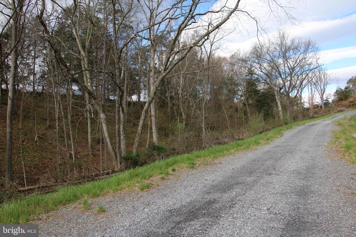 CAUTHORN MILL RD, MIDDLETOWN, Virginia 22645, ,Land,For sale,CAUTHORN MILL RD,VAWR2007776 MLS # VAWR2007776