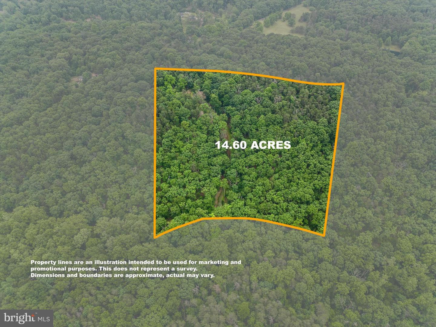 1202 PACK HORSE RD, CROSS JUNCTION, Virginia 22625, ,Land,For sale,1202 PACK HORSE RD,VAFV2019544 MLS # VAFV2019544