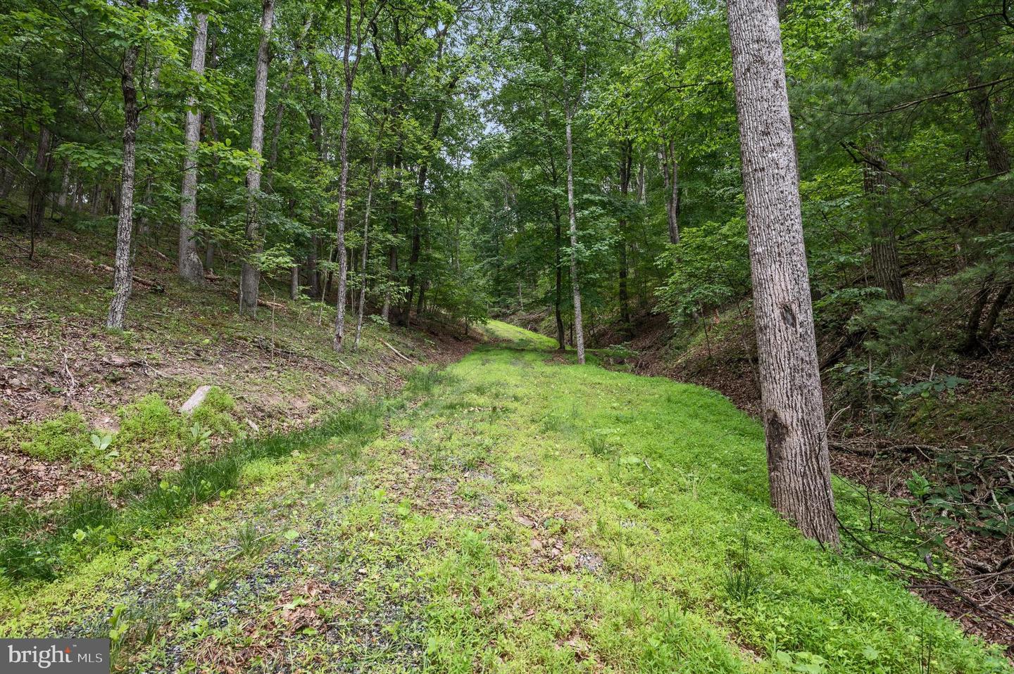 1202 PACK HORSE RD, CROSS JUNCTION, Virginia 22625, ,Land,For sale,1202 PACK HORSE RD,VAFV2019544 MLS # VAFV2019544