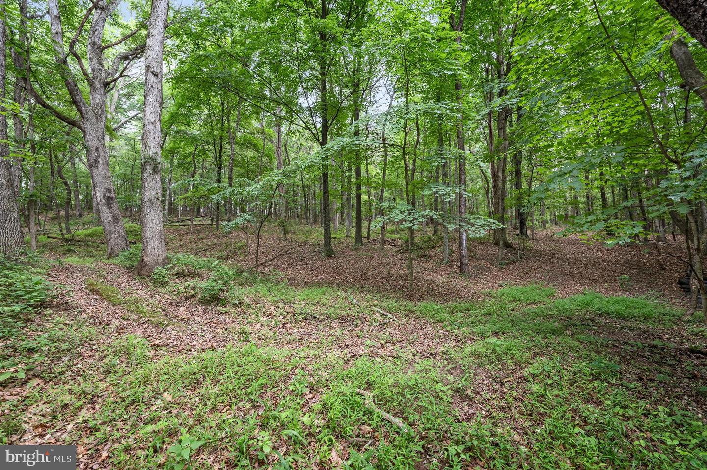 1202 PACK HORSE RD, CROSS JUNCTION, Virginia 22625, ,Land,For sale,1202 PACK HORSE RD,VAFV2019544 MLS # VAFV2019544