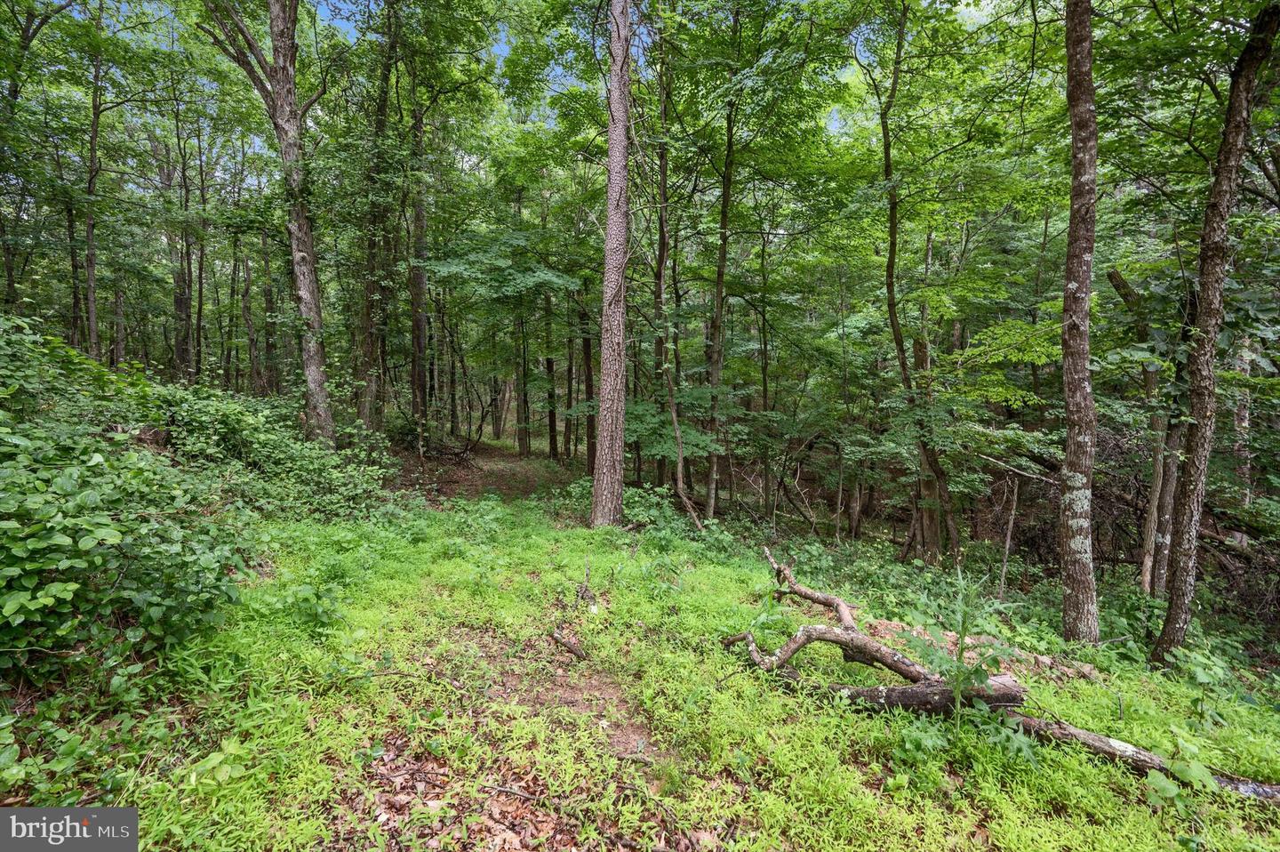 1202 PACK HORSE RD, CROSS JUNCTION, Virginia 22625, ,Land,For sale,1202 PACK HORSE RD,VAFV2019544 MLS # VAFV2019544