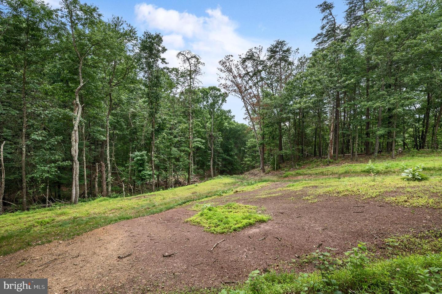 1202 PACK HORSE RD, CROSS JUNCTION, Virginia 22625, ,Land,For sale,1202 PACK HORSE RD,VAFV2019544 MLS # VAFV2019544