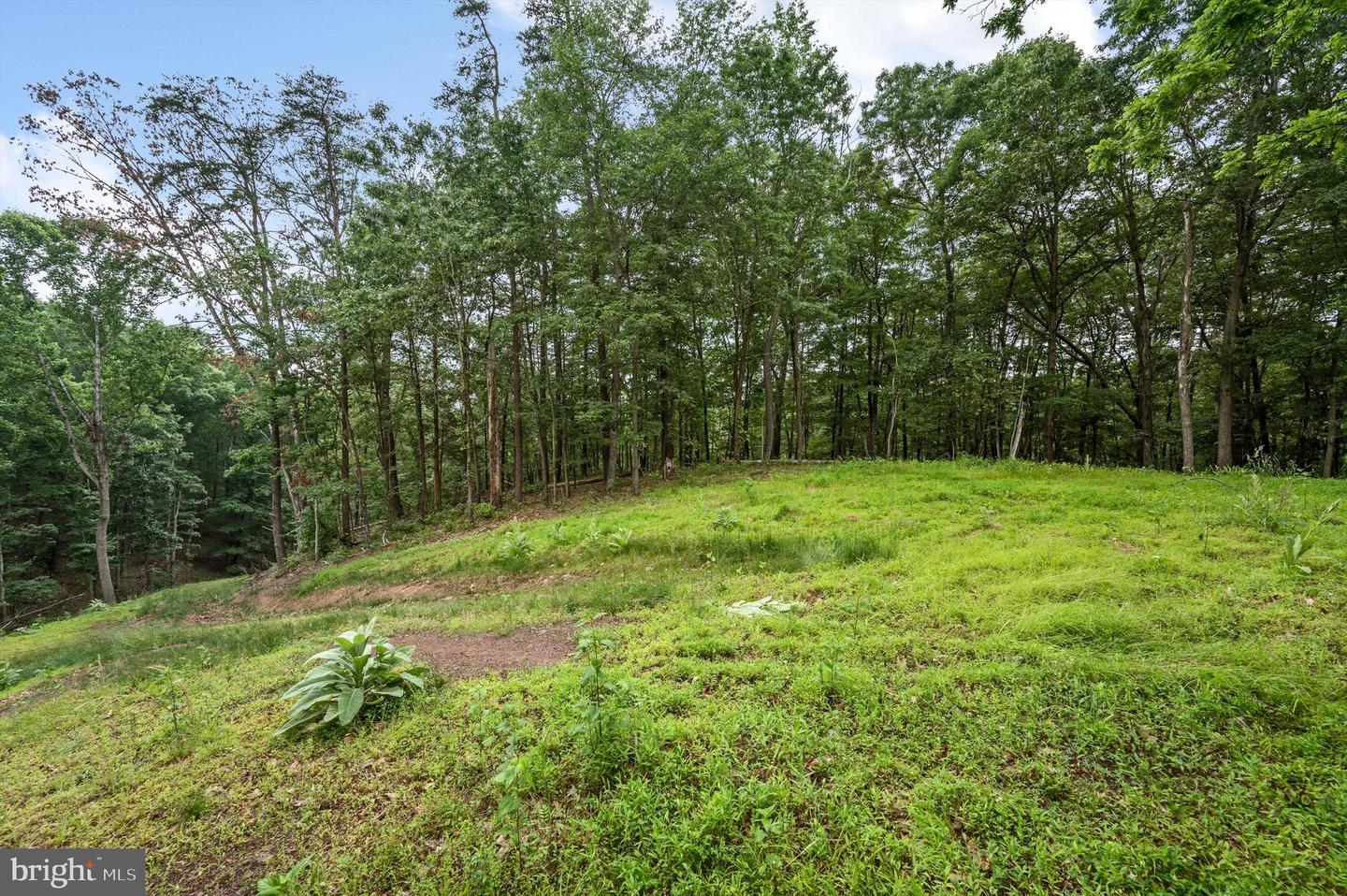 1202 PACK HORSE RD, CROSS JUNCTION, Virginia 22625, ,Land,For sale,1202 PACK HORSE RD,VAFV2019544 MLS # VAFV2019544