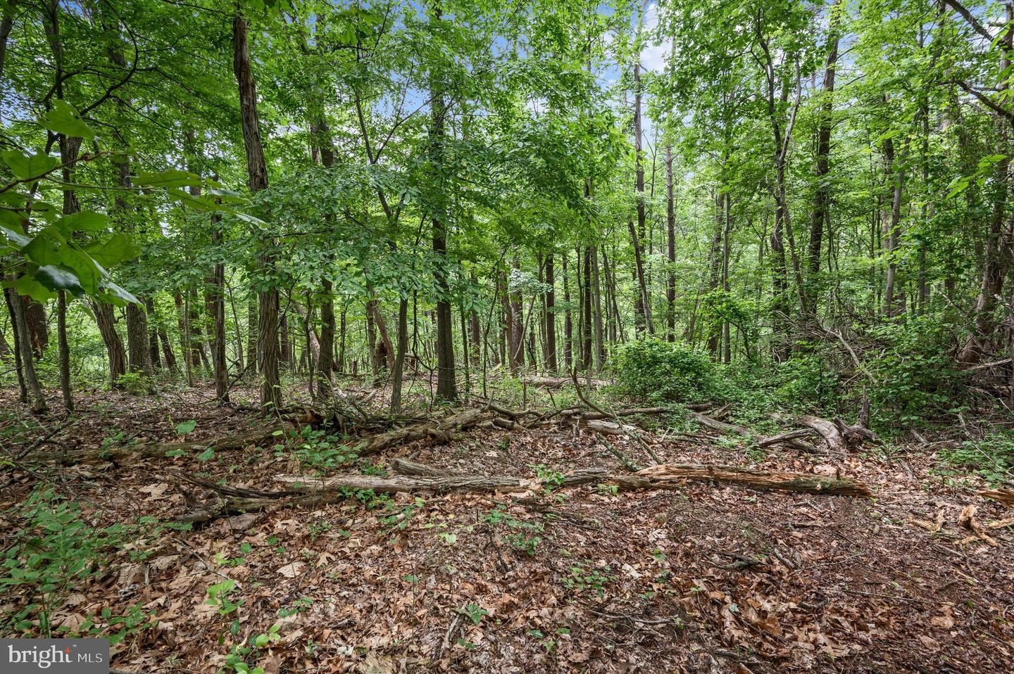 1202 PACK HORSE RD, CROSS JUNCTION, Virginia 22625, ,Land,For sale,1202 PACK HORSE RD,VAFV2019544 MLS # VAFV2019544