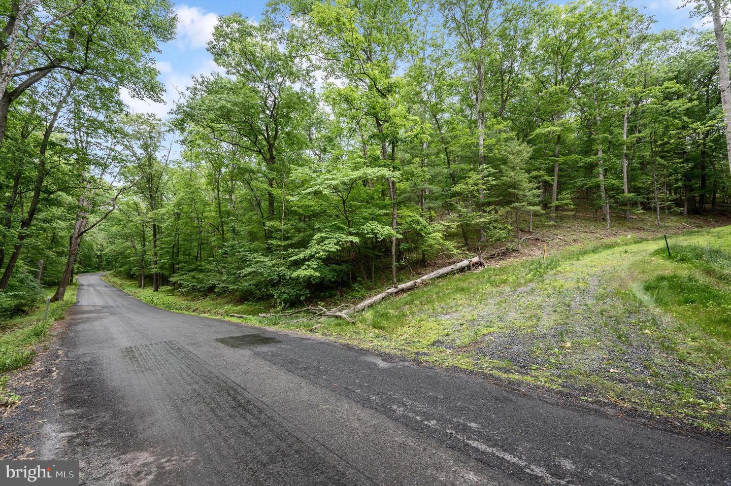 1202 PACK HORSE RD, CROSS JUNCTION, Virginia 22625, ,Land,For sale,1202 PACK HORSE RD,VAFV2019544 MLS # VAFV2019544