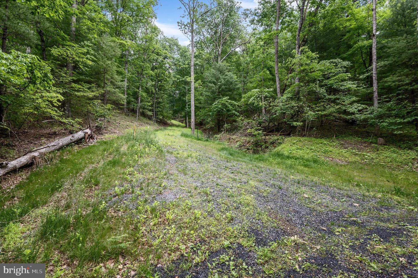 1202 PACK HORSE RD, CROSS JUNCTION, Virginia 22625, ,Land,For sale,1202 PACK HORSE RD,VAFV2019544 MLS # VAFV2019544