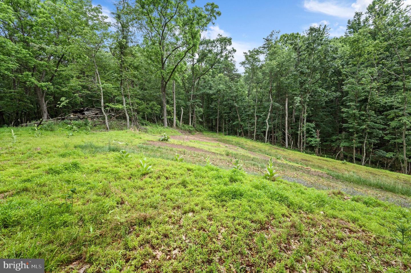 1202 PACK HORSE RD, CROSS JUNCTION, Virginia 22625, ,Land,For sale,1202 PACK HORSE RD,VAFV2019544 MLS # VAFV2019544