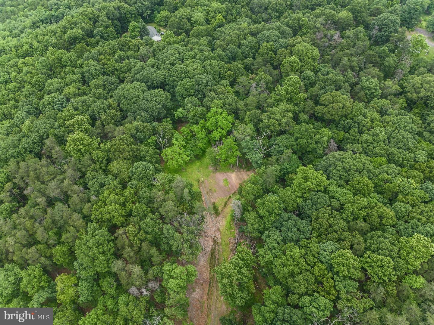 1202 PACK HORSE RD, CROSS JUNCTION, Virginia 22625, ,Land,For sale,1202 PACK HORSE RD,VAFV2019544 MLS # VAFV2019544