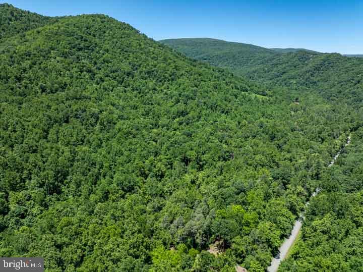 13-32 OLD BLUE RIDGE TURNPIKE, SYRIA, Virginia 22743, ,Farm,For sale,13-32 OLD BLUE RIDGE TURNPIKE,VAMA2001756 MLS # VAMA2001756